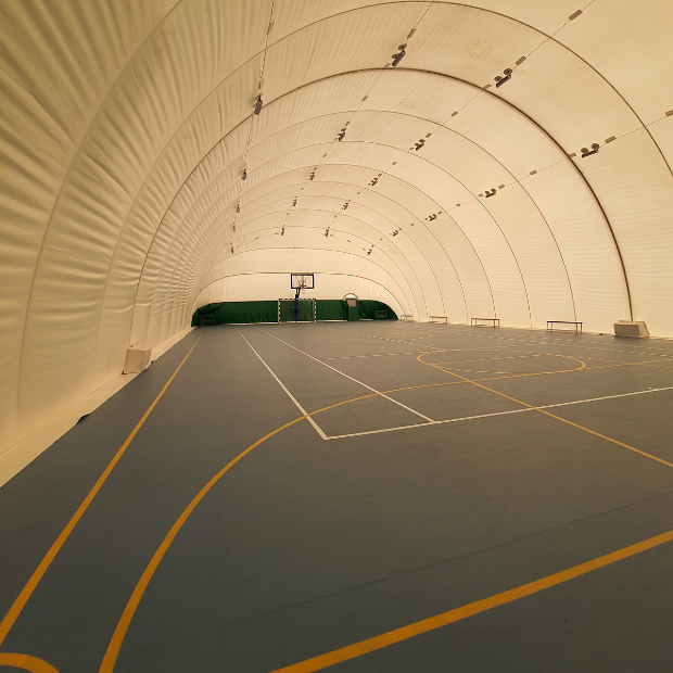 Первое поле (универсальное)